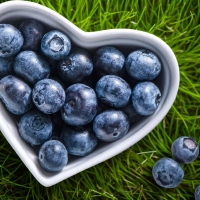 Američka Borovnica 'Blue Suede' (BonBonBerry) 1lit (primamo narudžbe za iduću sezonu)